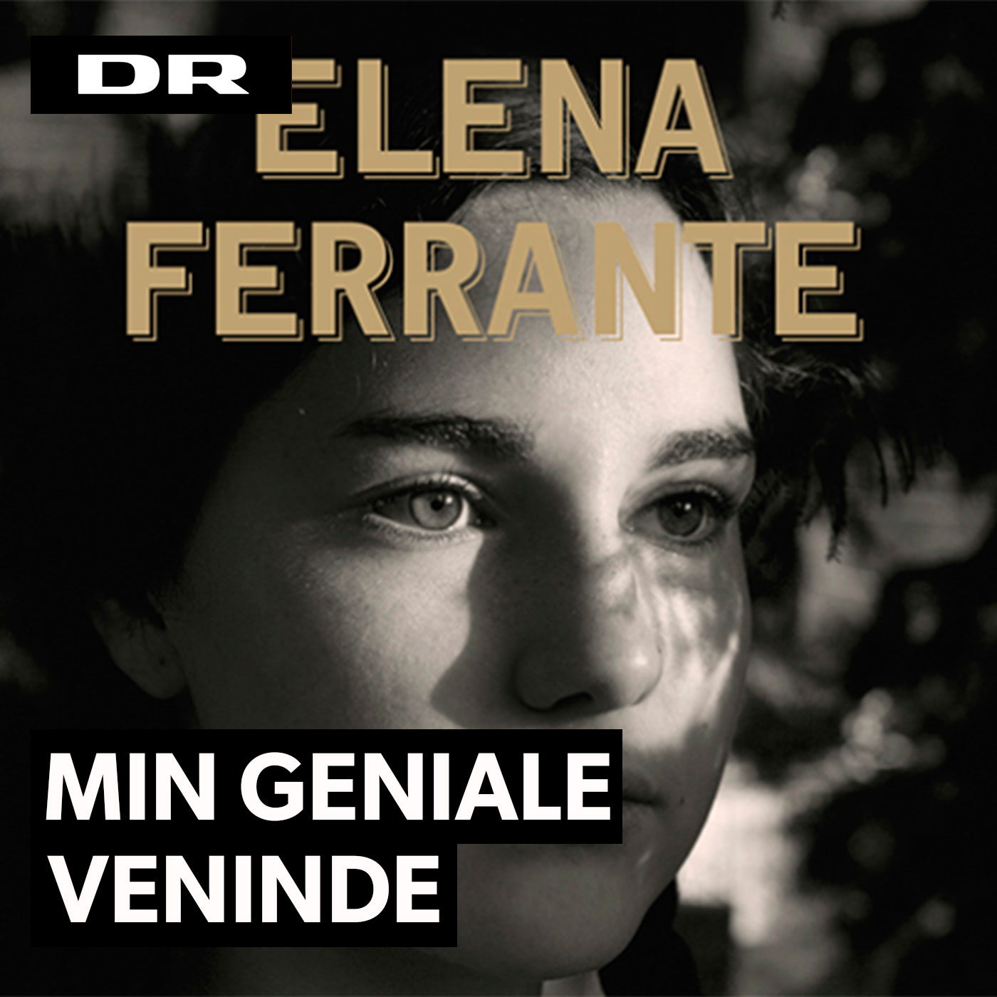 Elena Ferrante - Min geniale veninde